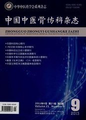 中国中医骨伤科杂志
