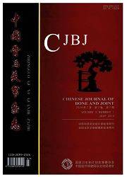 中国骨与关节杂志
